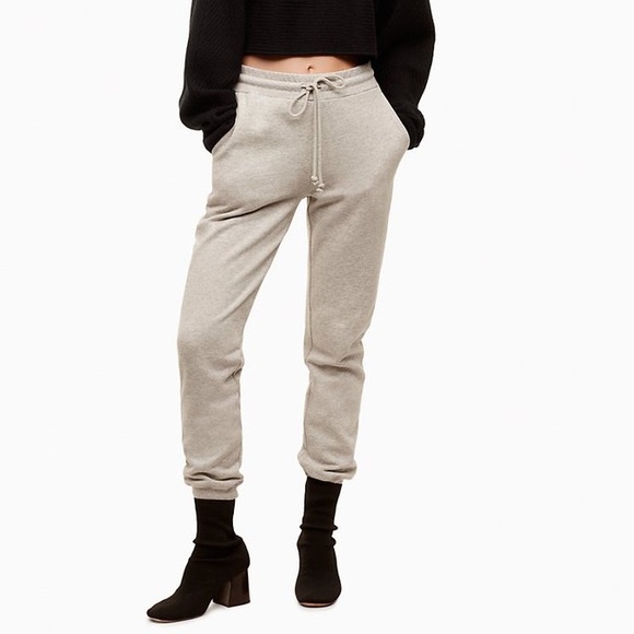 Aritzia Pants - Aritiza wilfredfree jogger drawstring sweatpants